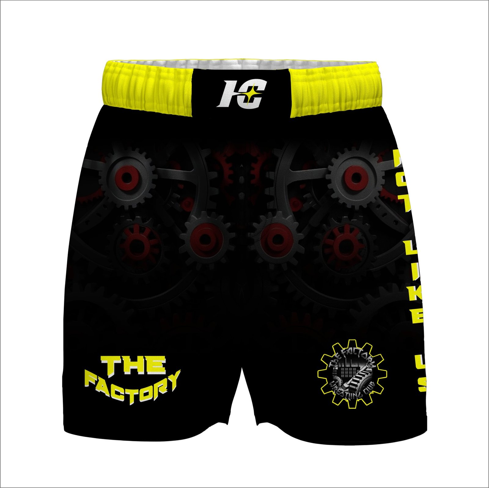 Fight Shorts