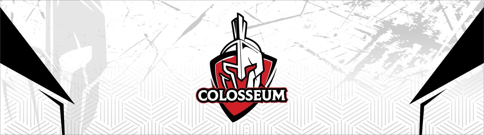 The Colosseum Store Banner